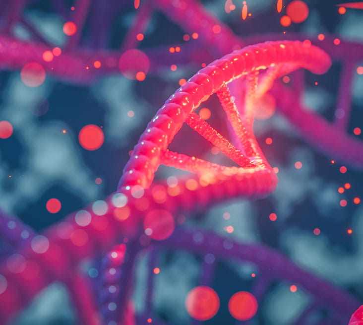3D rendering of a DNA helix.