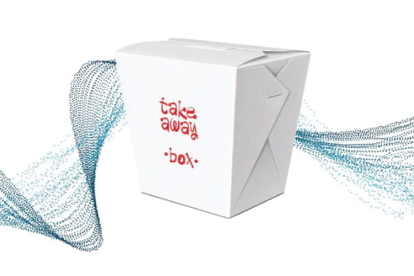 A takeaway box, similar to those used in Chinese restaurants.