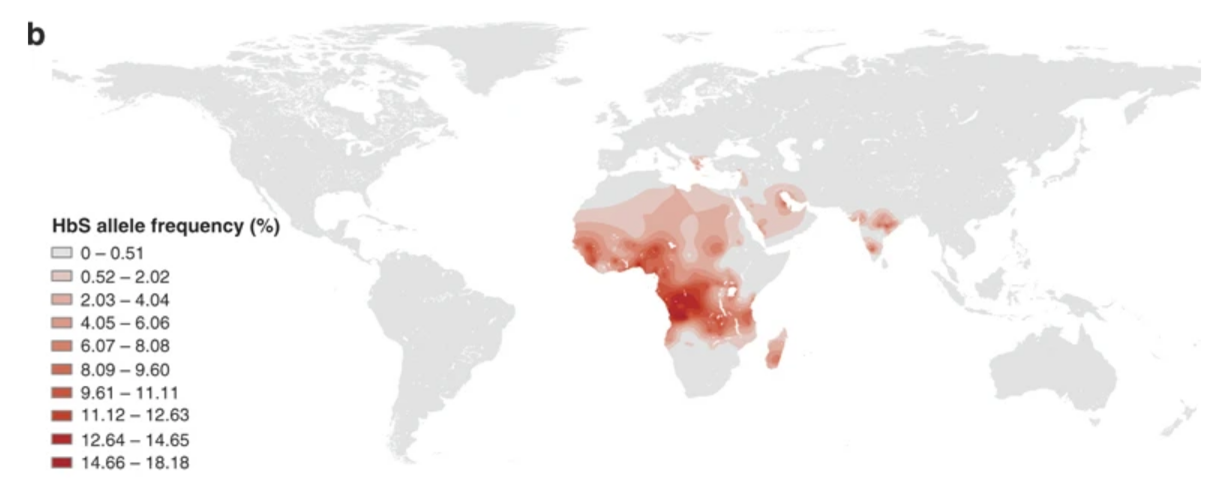A map of the world with red spots depicting global HbS allele frequency.