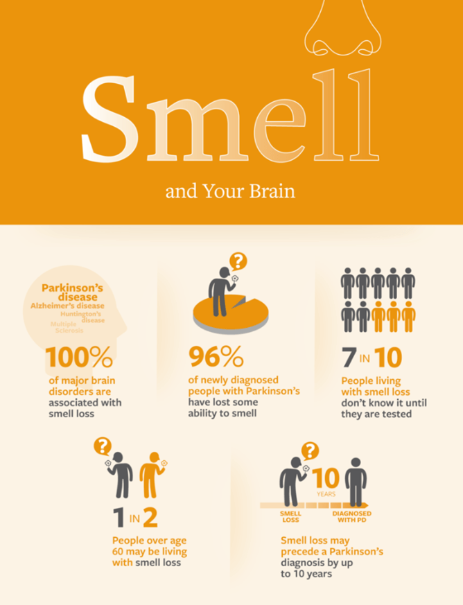 An infographic illustrating the significant link between a declining sense of smell (hyposmia or anosmia) and major brain disorders, particularly Parkinson's disease.