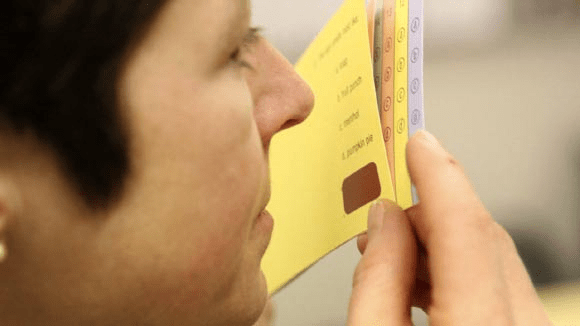 A person smelling colored cards, for an olfactory test or sensory evaluation.