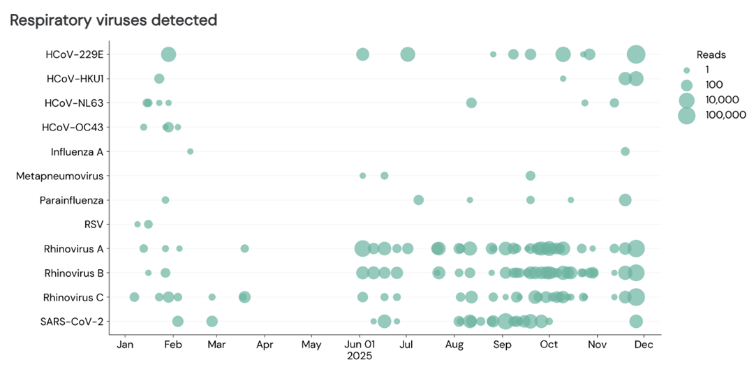 A bubble chart showing the detection of various respiratory viruses throughout 2025, with bubble size indicating the number of reads.